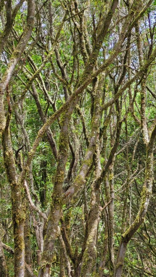 Casa Tio Manuel Vendégház La Tierra del Trigo Kültér fotó